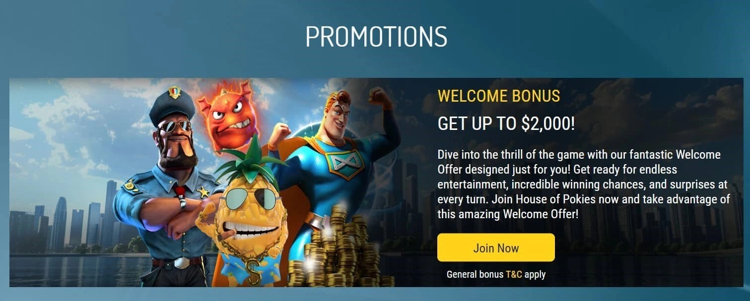 Bonus casino terms and requirements Bonus terms and requirements